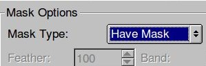 Mask Options drop down menu